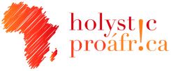Logo de Holystic Pro África